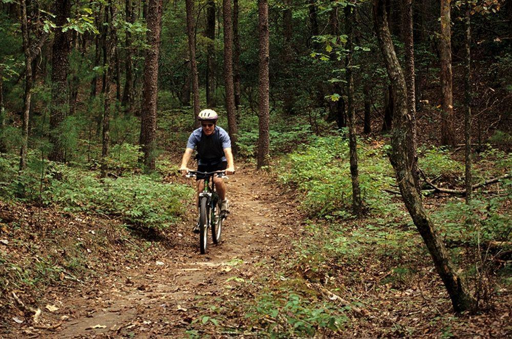 Unicoi State Park & Lodge ヘレン エクステリア 写真